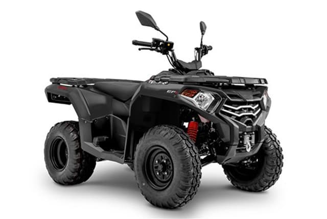 Loncin XWOLF300